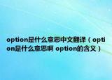 option是什么意思中文翻譯（option是什么意思啊 option的含義）