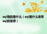 aql指的是什么（aql是什么意思 aql的意思）