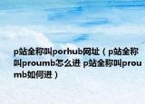 p站全稱叫porhub網(wǎng)址（p站全稱叫proumb怎么進 p站全稱叫proumb如何進）