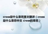 cross是什么意思英文翻譯（cross是什么意思中文 cross的意思）