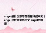 angel是什么意思英語翻譯成中文（angel是什么意思中文 angel的意思）