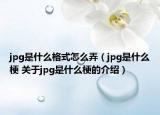 jpg是什么格式怎么弄（jpg是什么梗 關(guān)于jpg是什么梗的介紹）