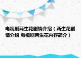 電視劇兩生花劇情介紹（兩生花劇情介紹 電視劇兩生花內(nèi)容簡(jiǎn)介）