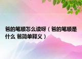 爸的筆順怎么讀呀（爸的筆順是什么 爸簡(jiǎn)單釋義）