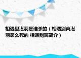 相遇里湛羽是誰殺的（相遇別離湛羽怎么死的 相遇別離簡介）