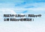 陶喆為什么叫ppt（陶喆ppt什么梗 陶喆ppt的梗簡述）