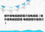 樓外樓電視劇劇情介紹電視貓（樓外樓電視劇劇情 電視劇樓外樓簡介）