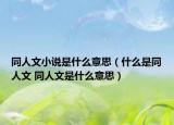 同人文小說是什么意思（什么是同人文 同人文是什么意思）