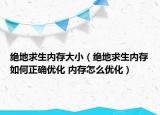 絕地求生內(nèi)存大?。ń^地求生內(nèi)存如何正確優(yōu)化 內(nèi)存怎么優(yōu)化）