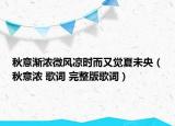 秋意漸濃微風(fēng)涼時(shí)而又覺(jué)夏未央（秋意濃 歌詞 完整版歌詞）