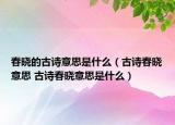 春曉的古詩意思是什么（古詩春曉意思 古詩春曉意思是什么）