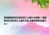 歌詞我的家在東北松花江上是什么歌曲?（我的家在東北松花江上是什么歌 這首歌的歌名是什么）