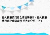 最大的浪費用什么成語來表示（最大的浪費用哪個成語表示 給大家介紹一下）