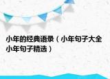 小年的經(jīng)典語(yǔ)錄（小年句子大全 小年句子精選）