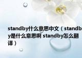 standby什么意思中文（standby是什么意思啊 standby怎么翻譯）