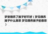 夢里領(lǐng)養(yǎng)了孩子好不好（夢見領(lǐng)養(yǎng)孩子什么意思 夢見領(lǐng)養(yǎng)孩子的意思）