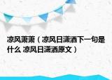 涼風(fēng)蕭蕭（涼風(fēng)日瀟灑下一句是什么 涼風(fēng)日瀟灑原文）