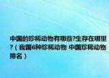 中國的珍稀動物有哪些?生存在哪里?（我國6種珍稀動物 中國珍稀動物排名）