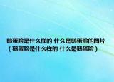 鵝蛋臉是什么樣的 什么是鵝蛋臉的圖片（鵝蛋臉是什么樣的 什么是鵝蛋臉）