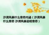 沙漠風(fēng)暴什么意思內(nèi)涵（沙漠風(fēng)暴什么意思 沙漠風(fēng)暴是啥意思）