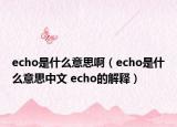 echo是什么意思?。╡cho是什么意思中文 echo的解釋）