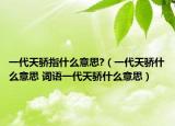 一代天驕指什么意思?（一代天驕什么意思 詞語一代天驕什么意思）