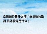 辛德瑞拉是什么梗（辛德瑞拉歌詞 具體歌詞是什么）