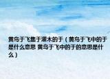 黃鳥于飛集于灌木的于（黃鳥于飛中的于是什么意思 黃鳥于飛中的于的意思是什么）