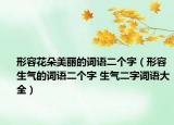 形容花朵美麗的詞語(yǔ)二個(gè)字（形容生氣的詞語(yǔ)二個(gè)字 生氣二字詞語(yǔ)大全）