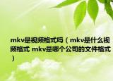 mkv是視頻格式嗎（mkv是什么視頻格式 mkv是哪個(gè)公司的文件格式）