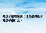 海瓜子是啥東西（什么是海瓜子 海瓜子是什么）