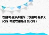 衣服l號(hào)是多少厘米（衣服l號(hào)是多大尺碼 l號(hào)的衣服是什么尺碼）