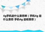 4g手機(jī)是什么意思?。ㄊ謾C(jī)4g 是什么意思 手機(jī)4g 是啥意思）