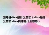 國(guó)外說diva是什么意思（diva是什么意思 diva具體是什么意思）