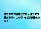 純潔無暇還是純潔無瑕（純潔無瑕什么意思什么意思 純潔無瑕什么意思）