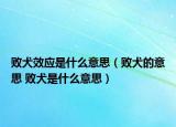 敗犬效應(yīng)是什么意思（敗犬的意思 敗犬是什么意思）