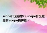 scope什么意思?（scope什么意思啊 scope的解釋?zhuān)? /></span></a>
                        <h2><a href=