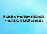 什么風(fēng)勁吹 什么風(fēng)勁吹的意思解釋?zhuān)ㄊ裁达L(fēng)勁吹 什么風(fēng)勁吹的意思）