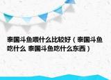 泰國斗魚喂什么比較好（泰國斗魚吃什么 泰國斗魚吃什么東西）