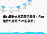 files是什么意思英語(yǔ)翻譯（files是什么意思 files的意思）