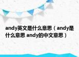 andy英文是什么意思（andy是什么意思 andy的中文意思）