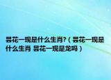 曇花一現(xiàn)是什么生肖?（曇花一現(xiàn)是什么生肖 曇花一現(xiàn)是龍嗎）