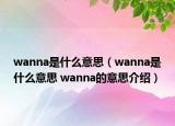 wanna是什么意思（wanna是什么意思 wanna的意思介紹）