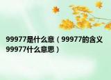 99977是什么意（99977的含義 99977什么意思）