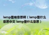 lamp是啥意思啊（lamp是什么意思中文 lamp是什么意思）