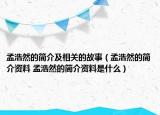 孟浩然的簡介及相關(guān)的故事（孟浩然的簡介資料 孟浩然的簡介資料是什么）