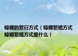 蟑螂的繁衍方式（蟑螂繁殖方式 蟑螂繁殖方式是什么）