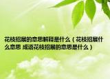 花枝招展的意思解釋是什么（花枝招展什么意思 成語花枝招展的意思是什么）