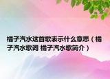 橘子汽水這首歌表示什么意思（橘子汽水歌詞 橘子汽水歌簡(jiǎn)介）