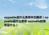 opposite是什么意思中文翻譯（opposite是什么意思 opposite的意思是什么）